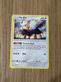 Herdier 104/149 Sun & Moon - raw front